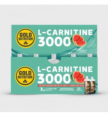 L carnitina 3000